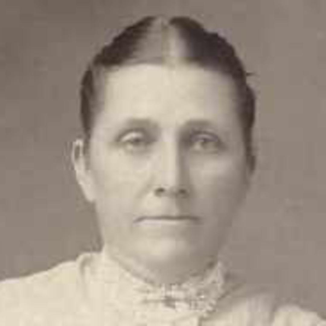 Esther Almera Johnson (1860 - 1919) Profile